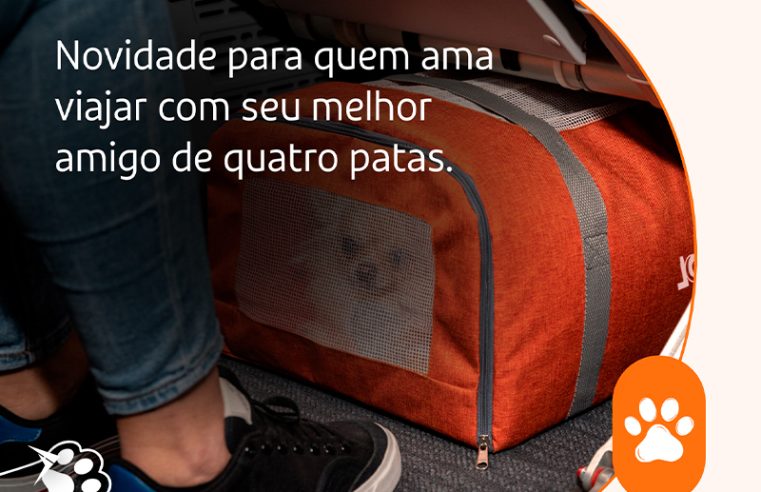 GOL: Dog&Cat na Cabine