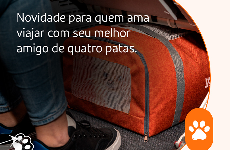 GOL: Dog&Cat na Cabine