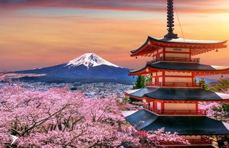 Turkish Airlines amplia frequência de voos semanais para o Japão e a China