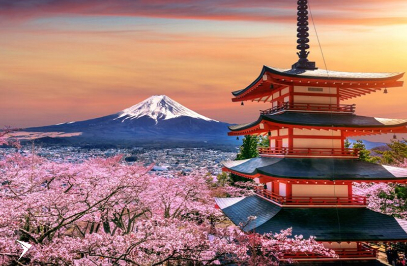 Turkish Airlines amplia frequência de voos semanais para o Japão e a China